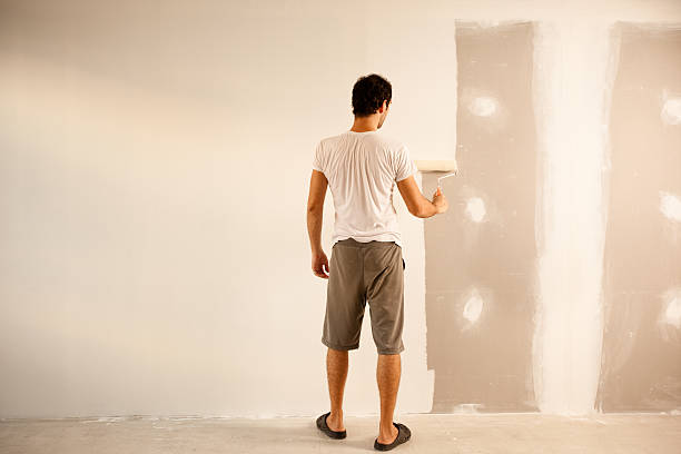 Best Eco-Friendly and Low-VOC Painting  in USA